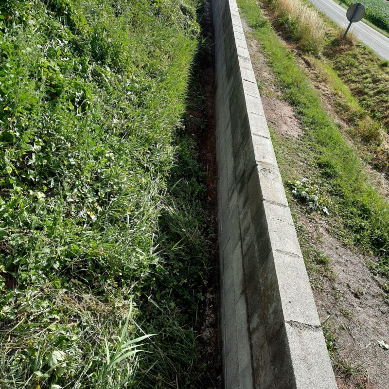 Aménagement extérieur Rixheim 15